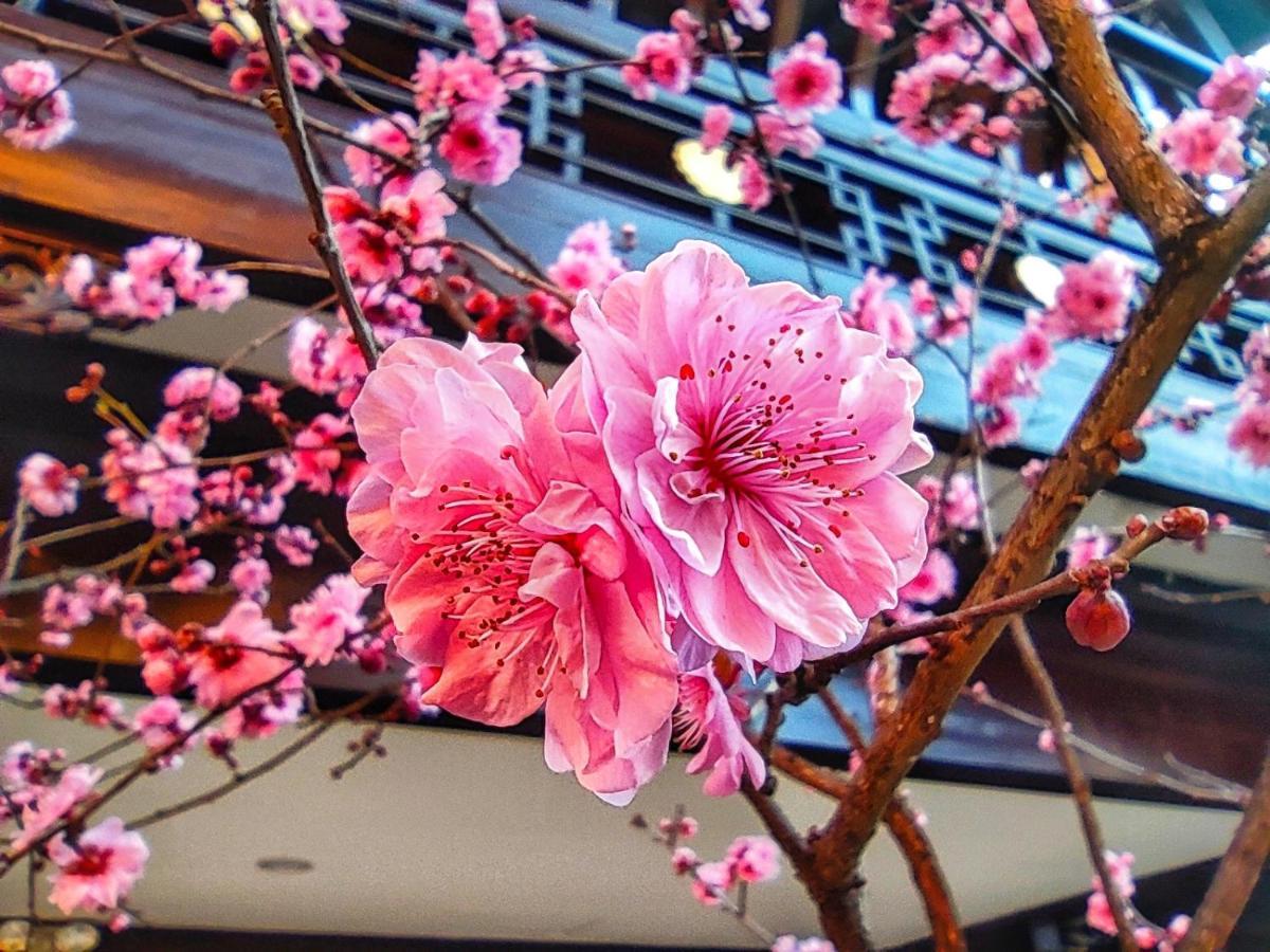 Doof Resort Hotel Lijiang  Buitenkant foto